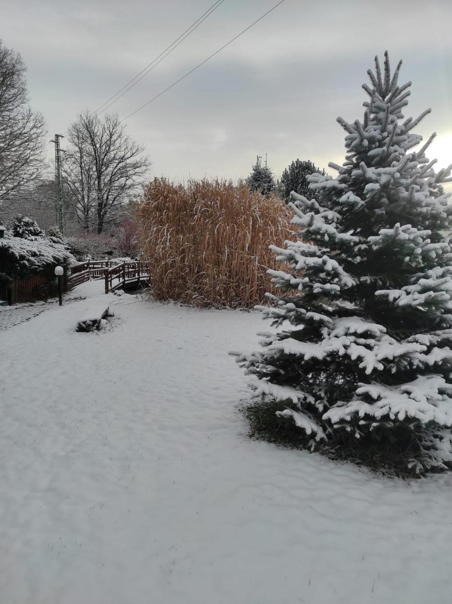 Penzion Kosky Hamr Bagian luar foto
