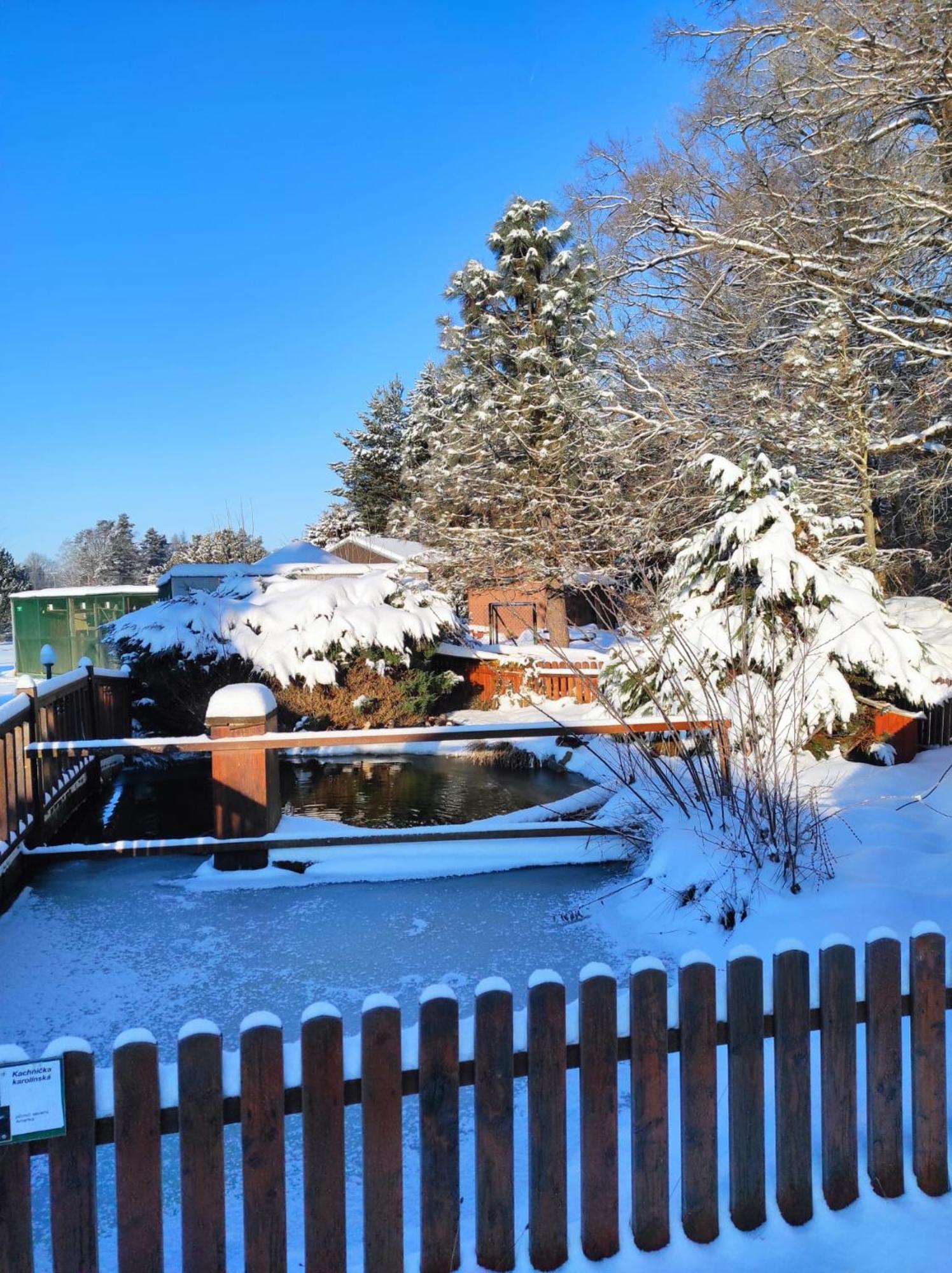 Penzion Kosky Hamr Bagian luar foto