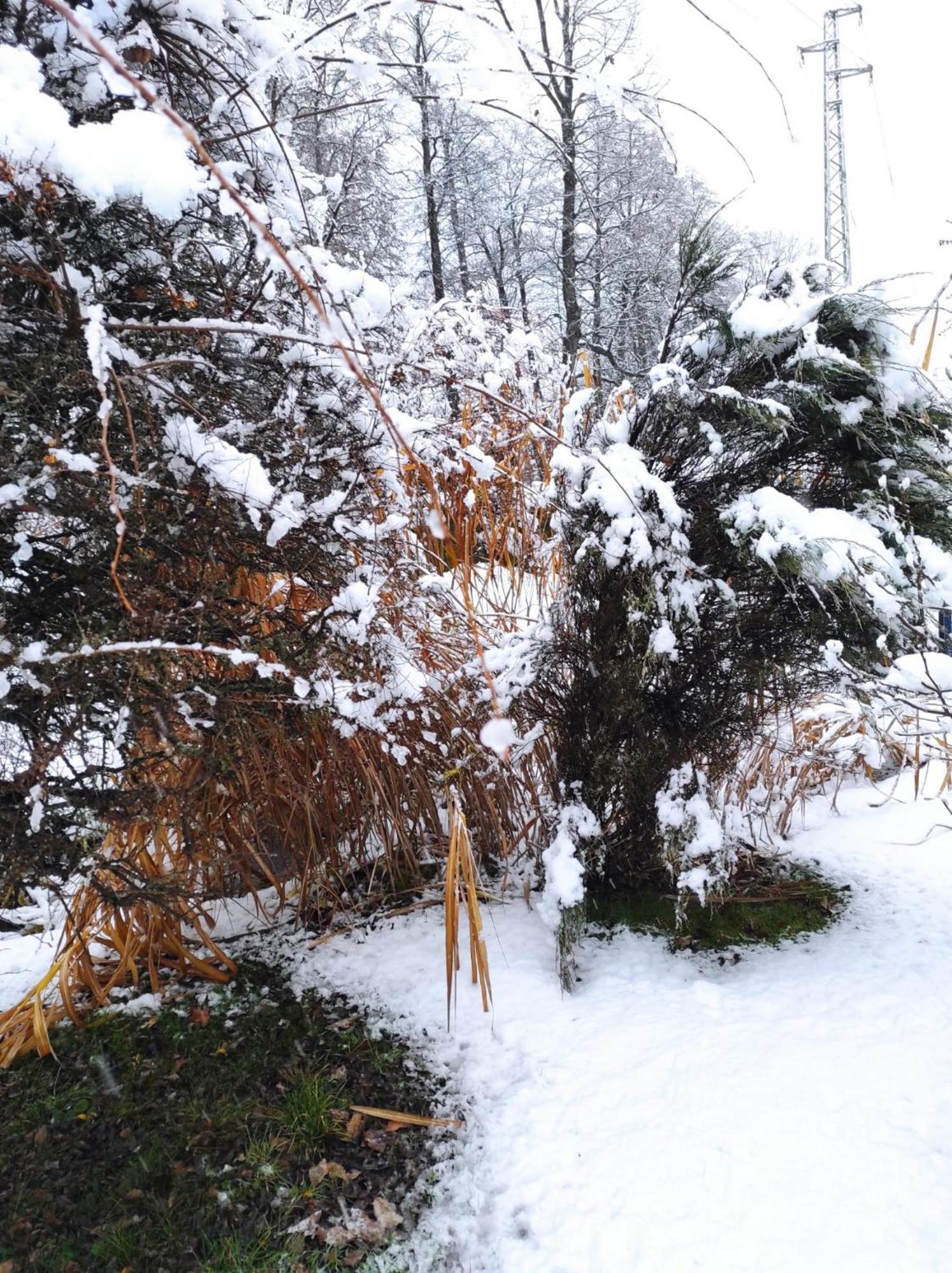 Penzion Kosky Hamr Bagian luar foto